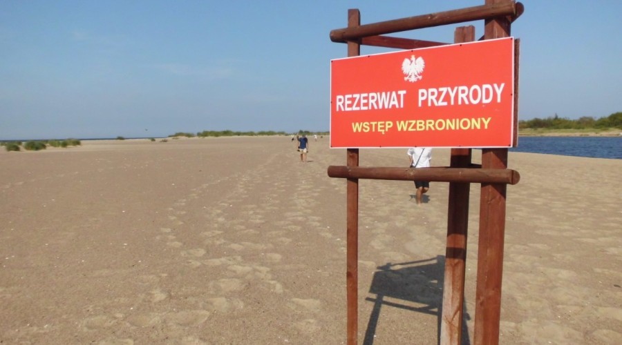 ujście wisły wwf polska (6)