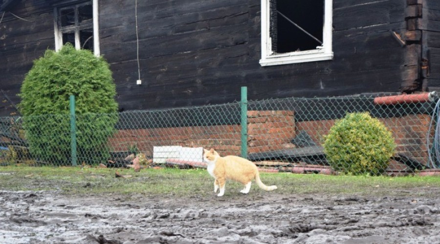 Izbiska-dom-po-pożarze-13