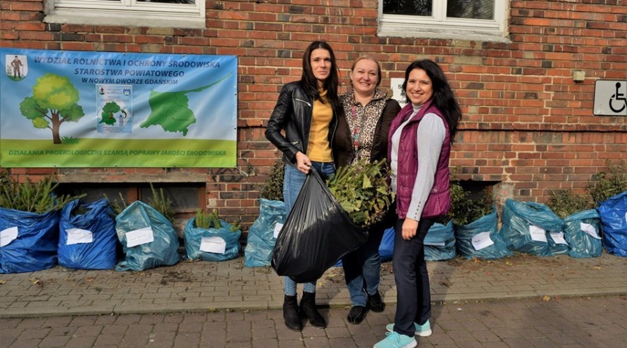 akcja drzewko za butelkę starostwo (16)