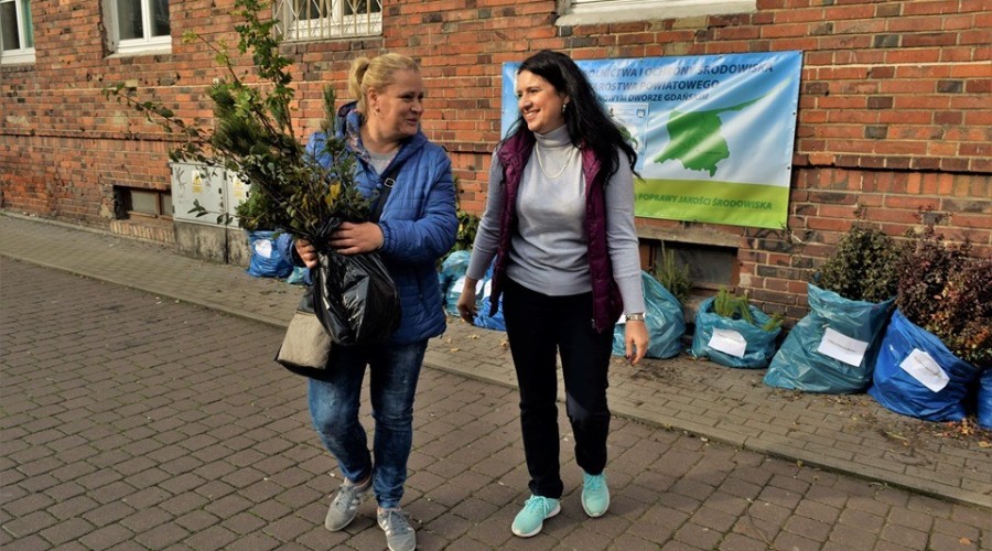 akcja drzewko za butelkę starostwo (5)