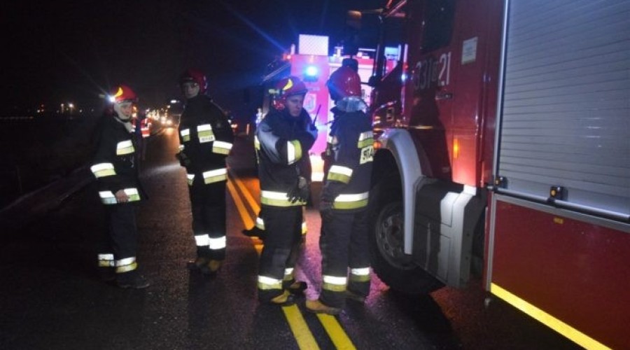 Kiezmark. Zderzenie osobówki z łosiem na siódemce – 3.01 (1)