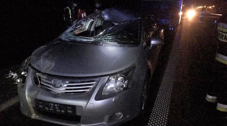 zderzenie-z-łosiem-s7-kiezmark-6