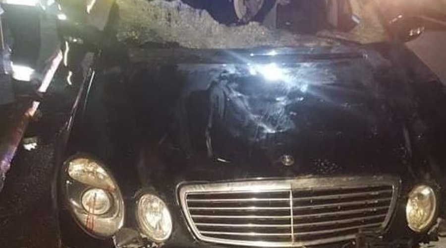 wypadek łosie s7 (2)