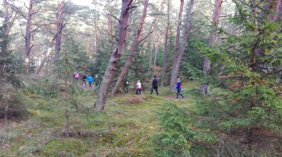 VIII Rajd Nordic Walking (1)