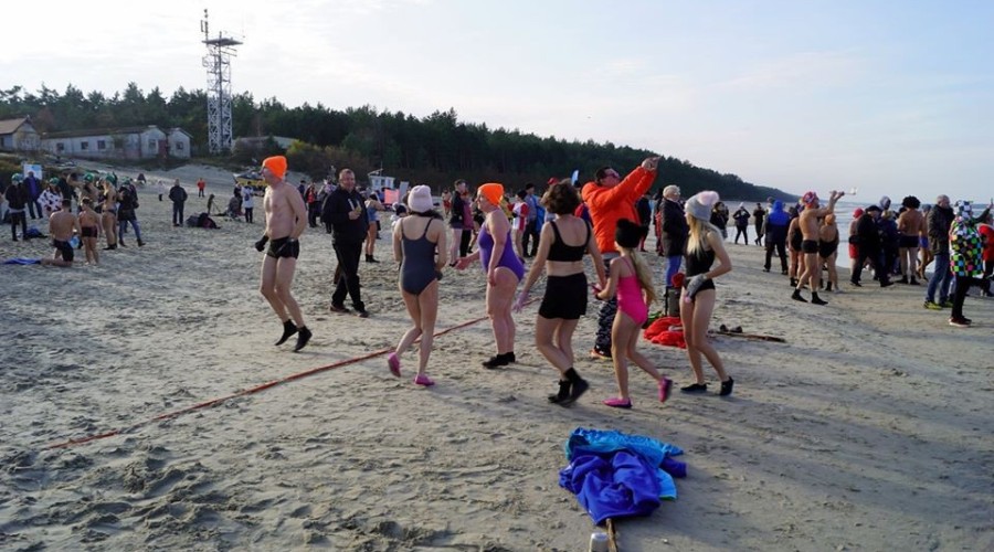 V kąpiel morsów w Kątach Rybackich. Sportowy weekend w Gminie Sztutowo (13)