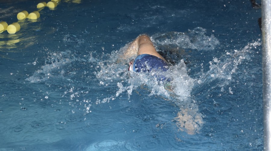 mistrzostwa gminy stegna w pływaniu41