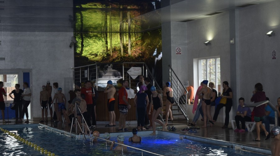 mistrzostwa gminy stegna w pływaniu49
