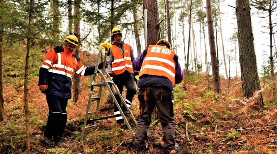 przekop mierzei wislanej (10)