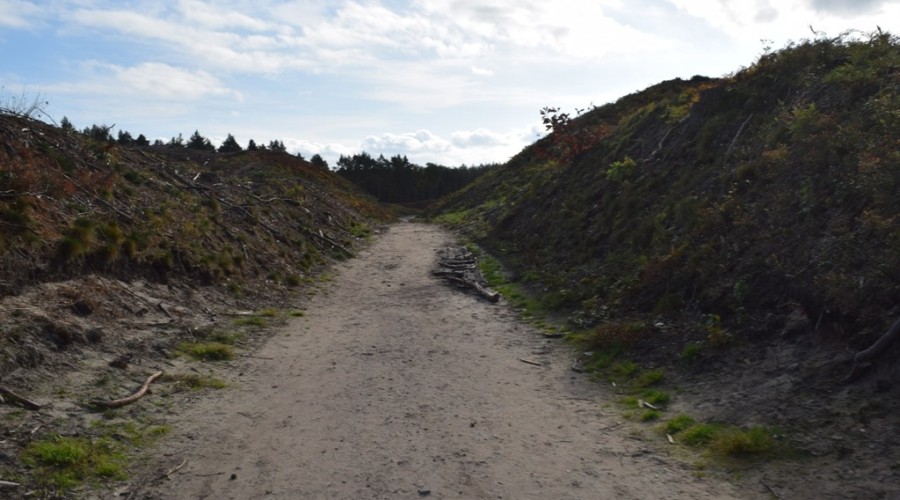 przekop mierzei wislanej (24)