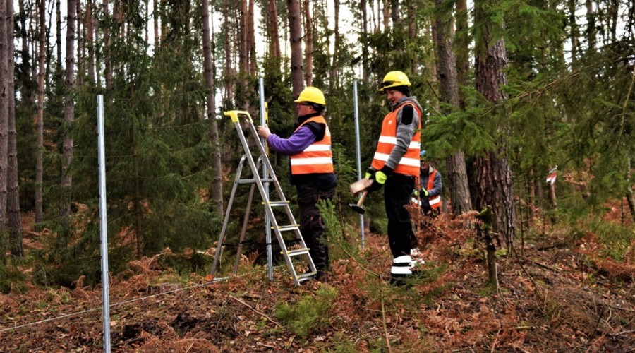 przekop mierzei wislanej (9)