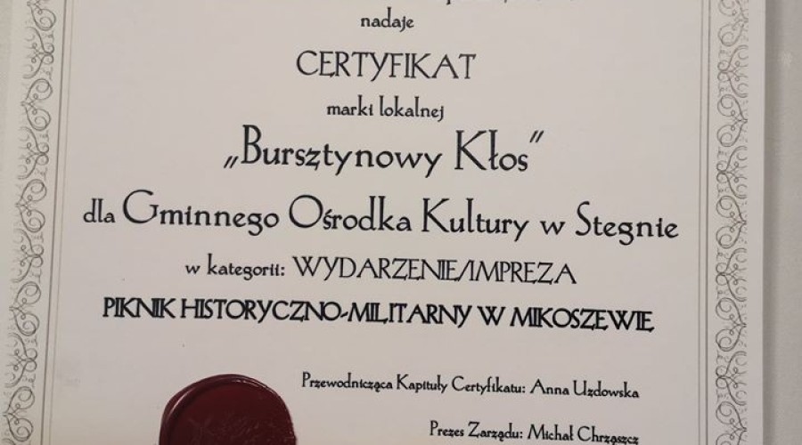 Bursztynowy Kłos gmina stegna (2)