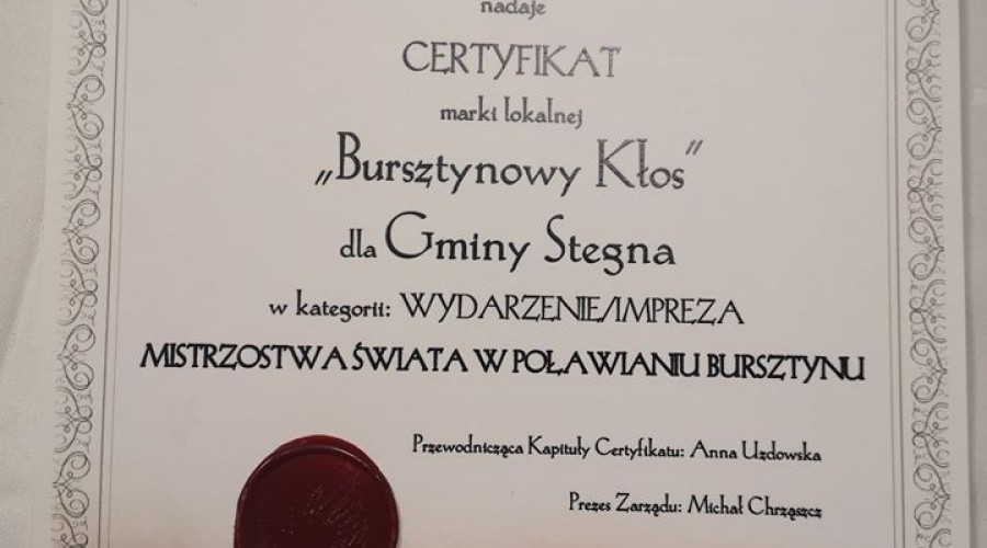Bursztynowy Kłos gmina stegna (4)