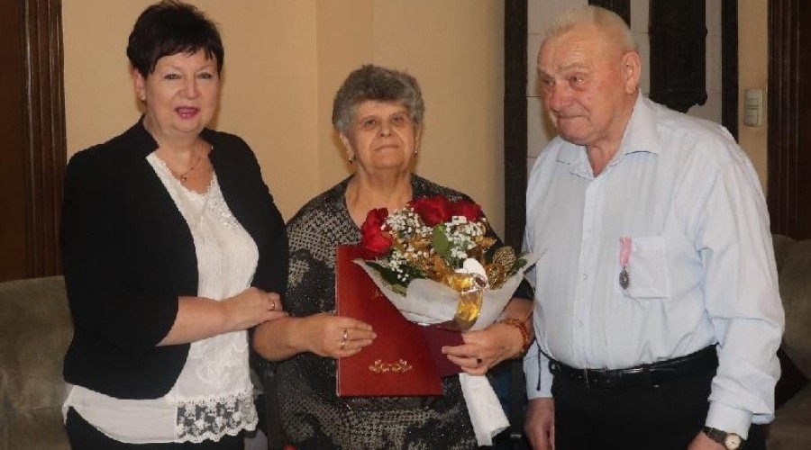 jubileusz stegna (1)