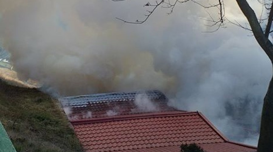 pożar krynica morska (1)