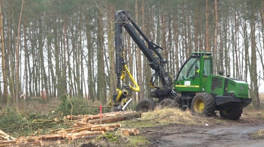 przekop mierzei wiślanej  (29)