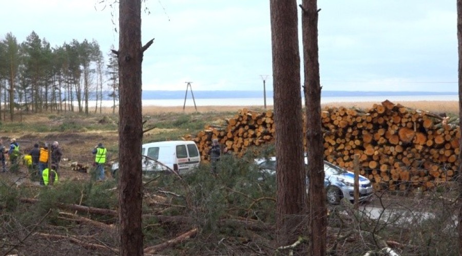 przekop mierzei wiślanej  (37)