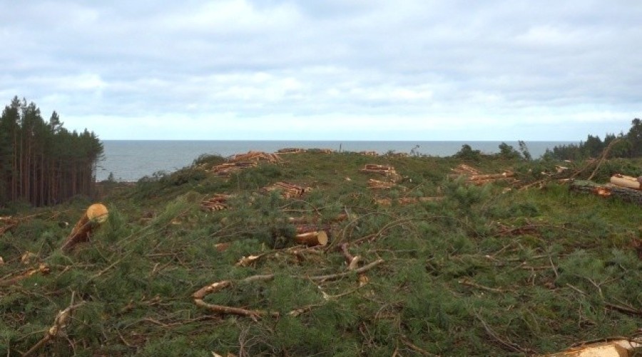 przekop mierzei wiślanej  (40)