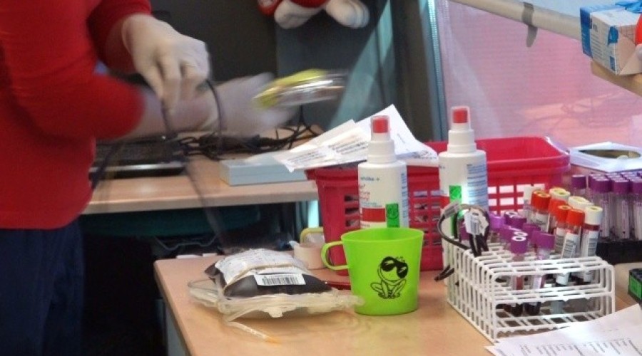 sztutowo ultrakrew (11)