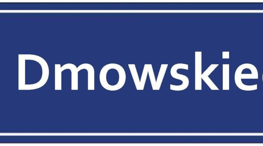 stegna remont dmowskiego (2)