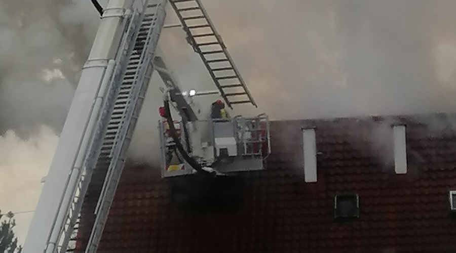 pożar sztutowo (5)