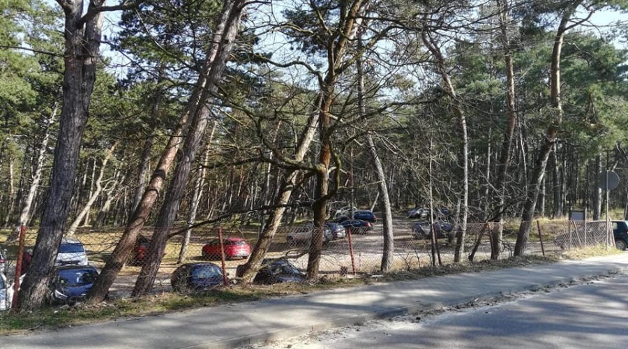 Najazd turystów na Mierzeję Wiślaną. Wójt Sztutowa Wracajcie do siebie!  (4)