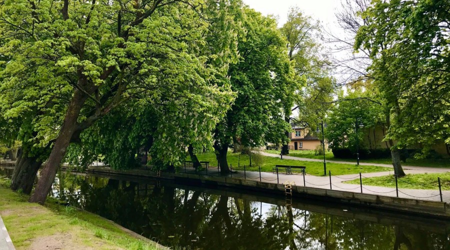 Nowy Dwór Gdański. Nowa kładka nad Tugą (4)
