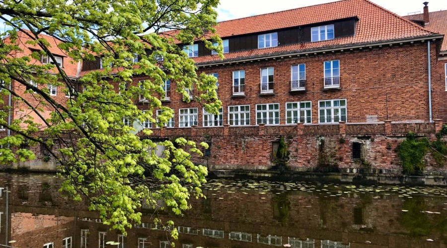 Nowy Dwór Gdański. Nowa kładka nad Tugą (5)