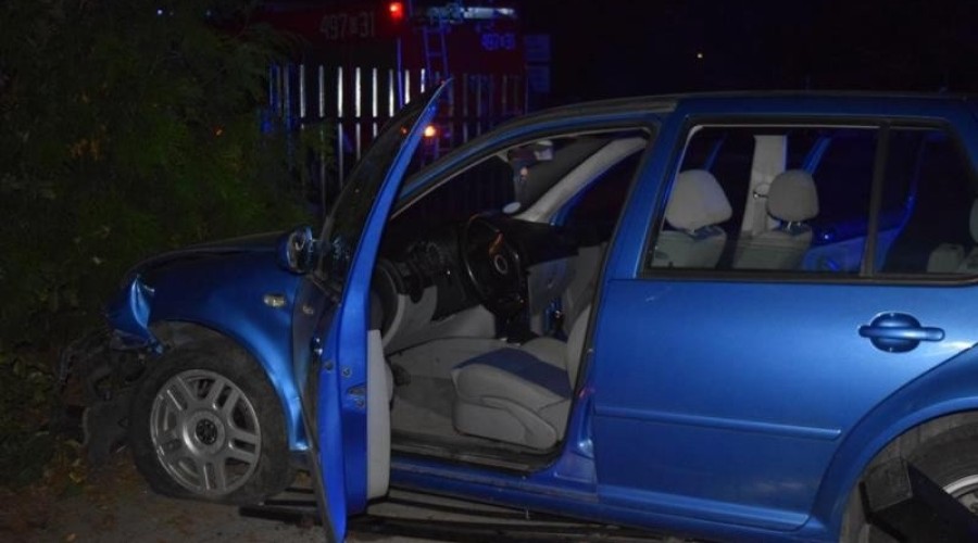 Drewnica. Staranował ogrodzenie4