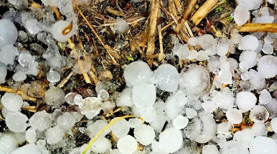 Silne-gradobicie-i-sztorm-na-Mierzei-Wiślanej-24.09-4