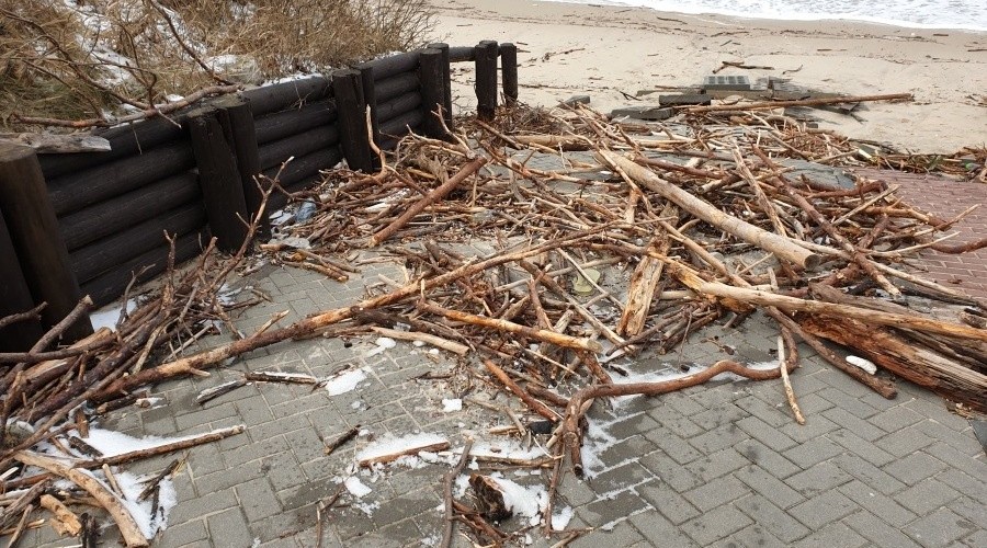 Mierzeja Wiślana. Ogromne zniszczenia wydm i plaż (4)