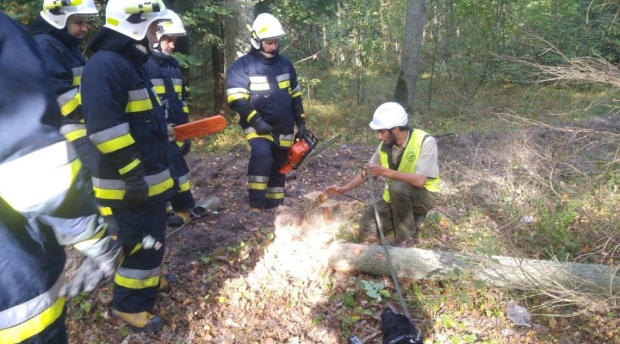 ćwicenia ratownicze (3)