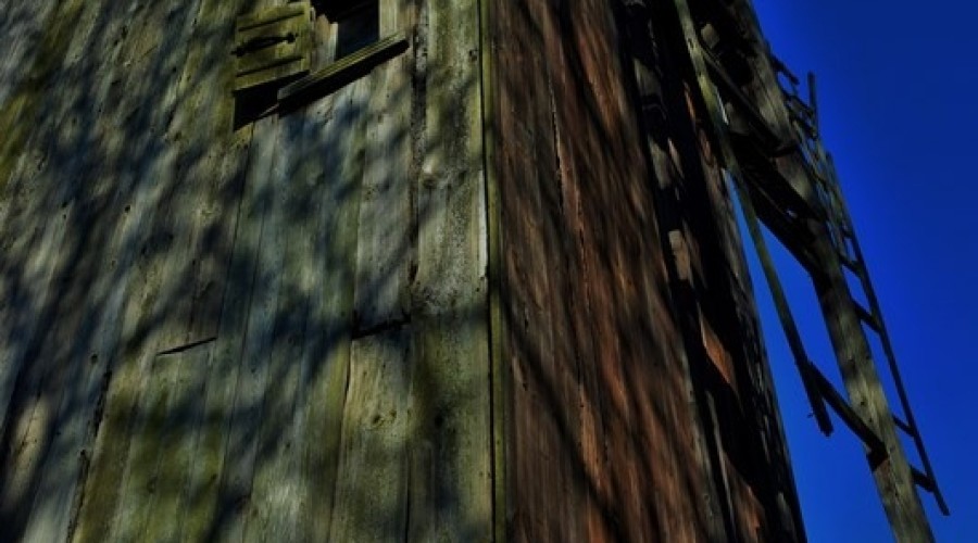 drewnica wiatrak (8)