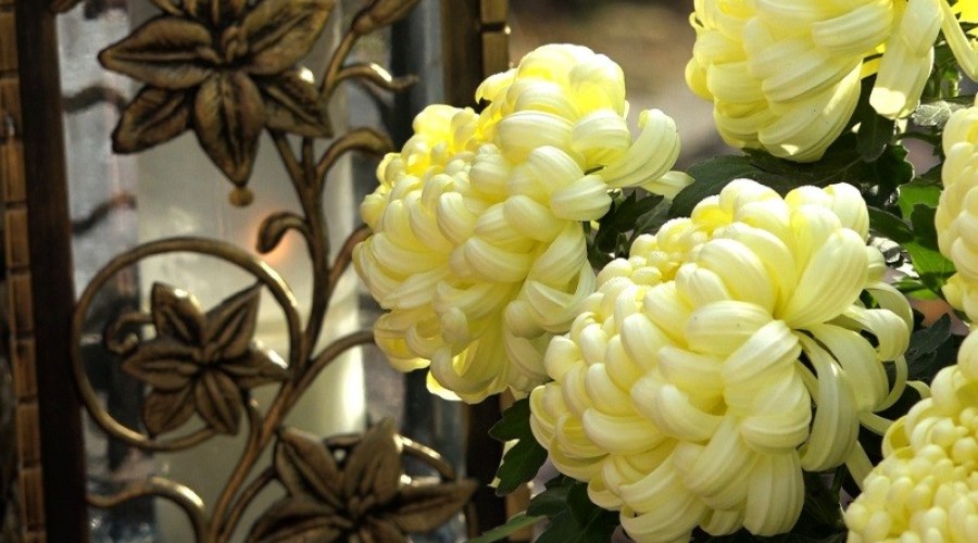 1 listopada. Dzień Wszystkich Świętych. Tłumy na cmentarzach.03