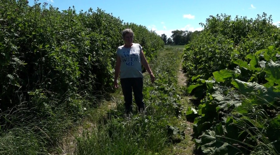 Interwencja w sprawie pani Lidii.I Nowy Dwór Gdański (1)