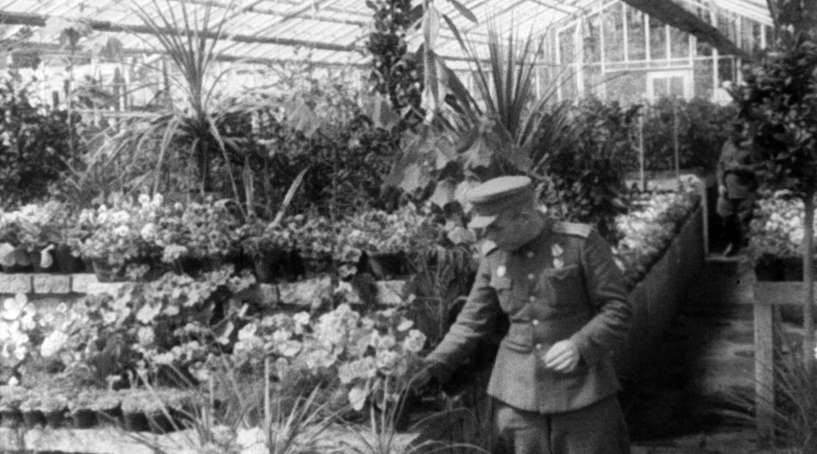 „Stutthof 89 maja 1945 r. Historia i pamięć. Fot Kadr z kroniki filmowej, ze zbiorów Muzeum Stutthof w Sztutowie