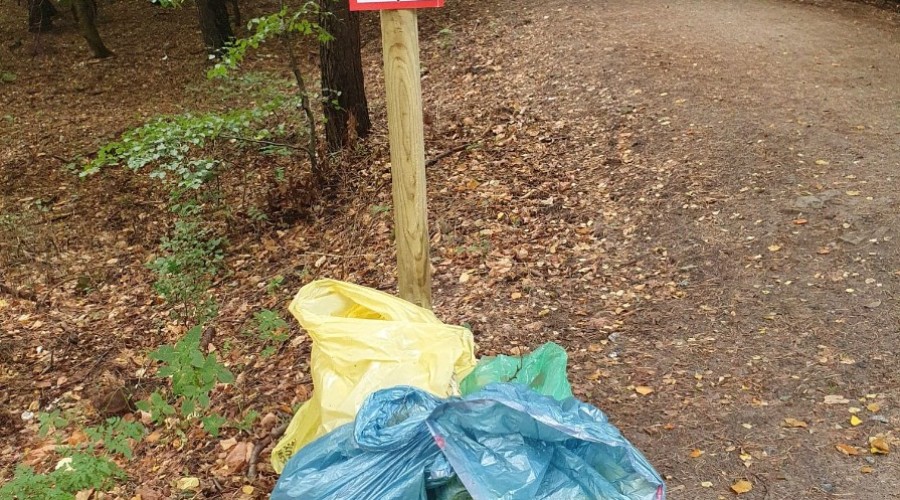 akcja sprzatania jantar (5)