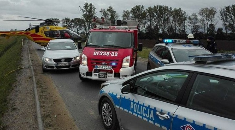 cedry-wielkie-7-e1507842476174