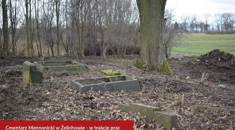 51993360_2179120112418525_7994554096440836096_n