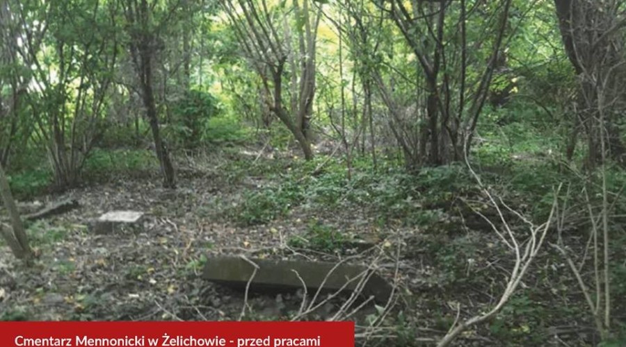 52536890_2179120229085180_6290031118829748224_n