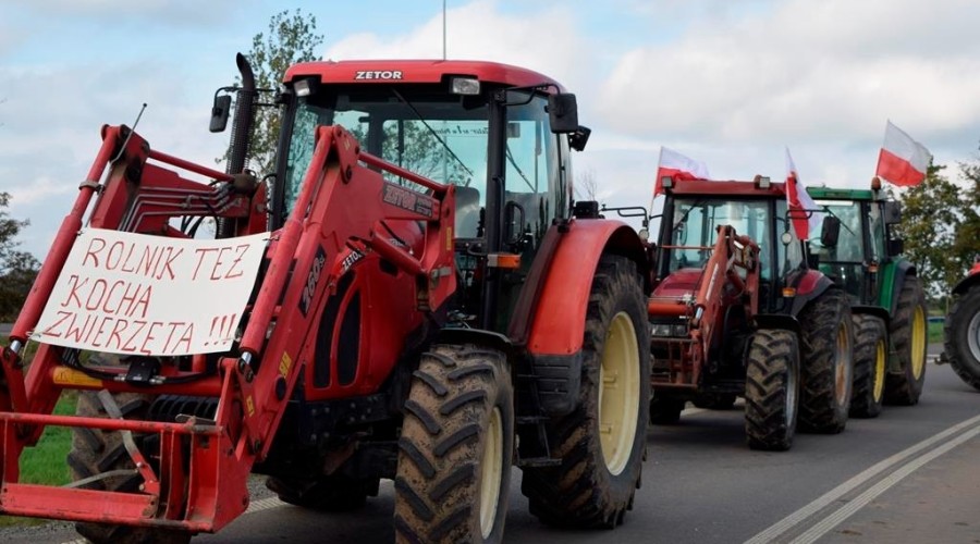 protest rolników (84)