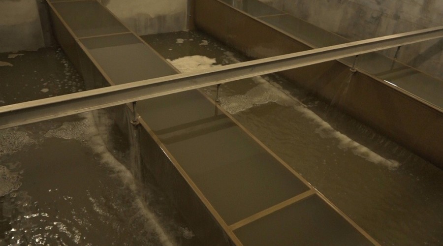 cwż styczeń 202007