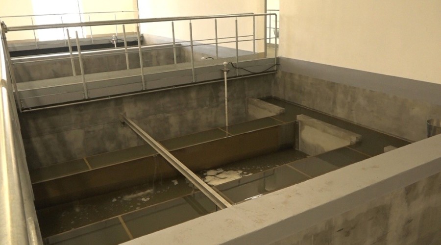 cwż styczeń 202008