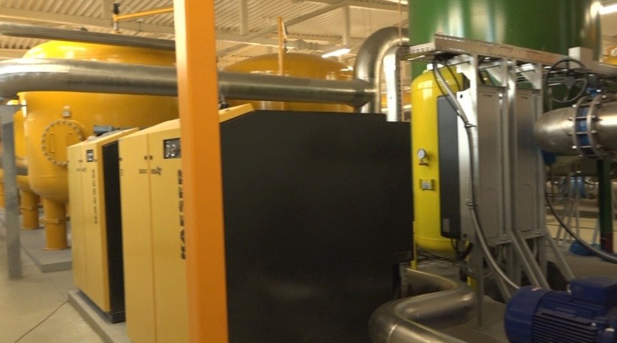 cwż styczeń 202009