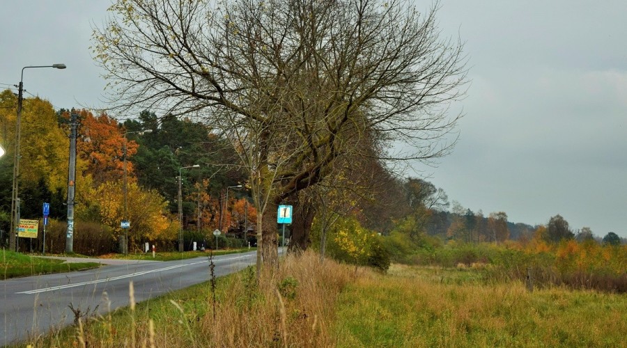 ścieżka rowerowa stegna 2