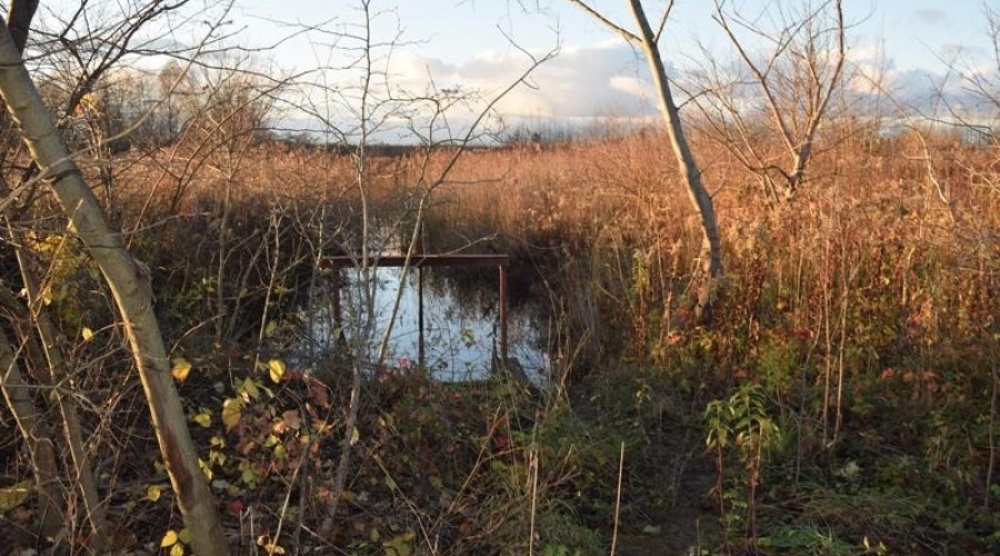 żuławki podtopienia01