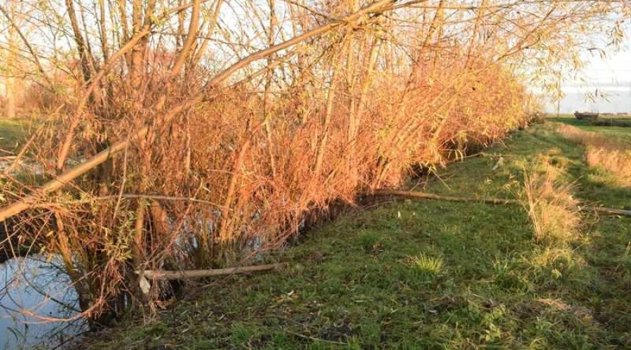 żuławki podtopienia06