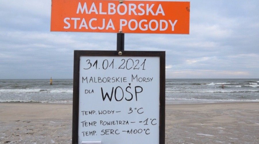 wośp stegna morsy 202111