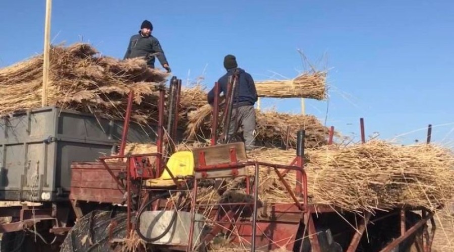 Nowy Dwór Gdański. Młodzieżowa Rada Miejska rozpoczęła pierwszą kadencję23