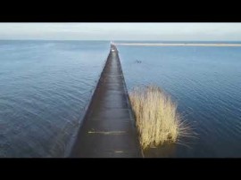 Ujście Wisły do morza. Foki.