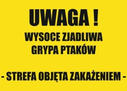 Grypa ptaków w Gminie Stegna. Władze apelują o ostrożność do mieszkańców i turystów